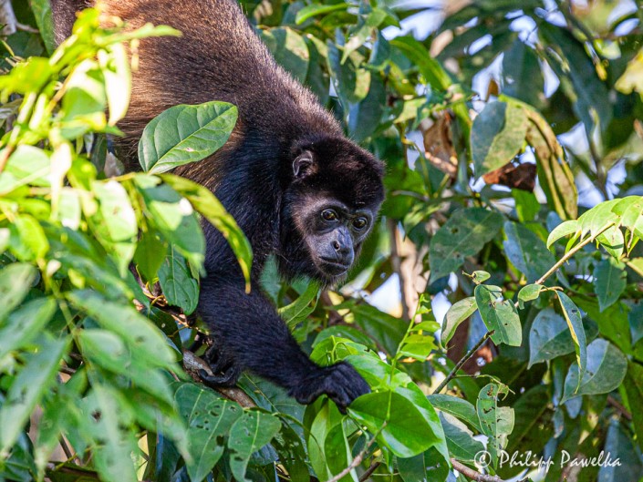 Costa Rica